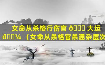女命从杀格行伤官 🐈 大运 🌼 （女命从杀格官杀混杂层次）